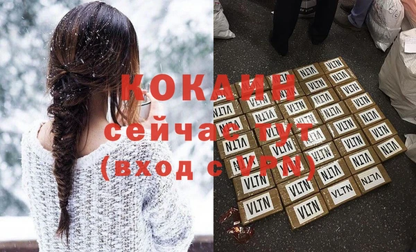 гидра Ельня