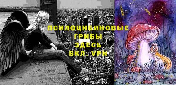 mdpv Алексин