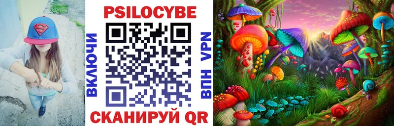 даркнет состав Чебоксары Галлюциногенные грибы прущие грибы